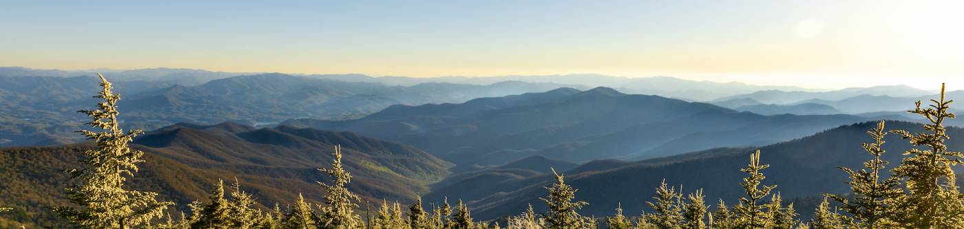 Pine trees and the rolling Smoky Mountains