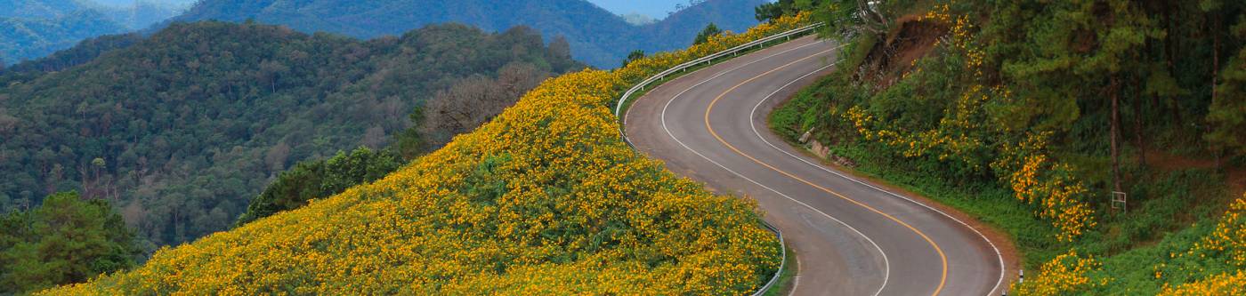 winding mountain road